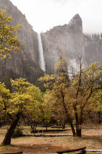 Scenic view of waterfall