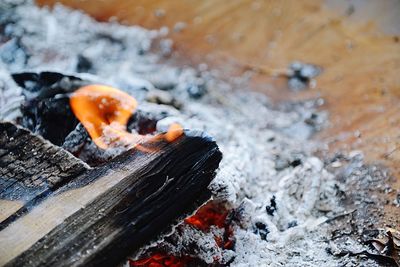 High angle view of firewood on wood