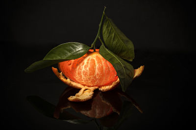 macro photography
