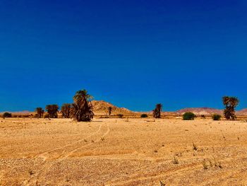 Scenic view of desert against clear blue sky