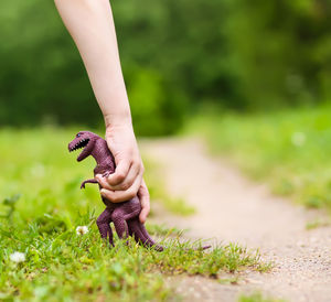 Low section of woman legs on field