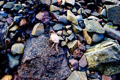 Full frame shot of pebbles