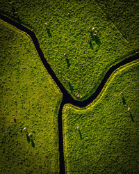 High angle view of green field