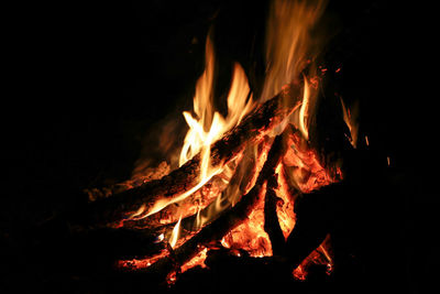 Close-up of fire in the dark