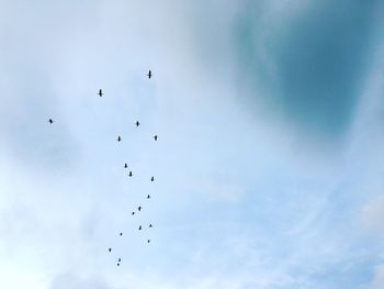 Low angle view of birds flying in sky