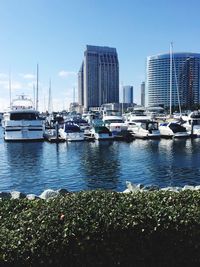 Sailboats moored on sea against buildings in city