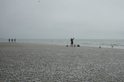 People walking on beach against sky