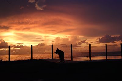 Silhouette man on beach against sky during sunset