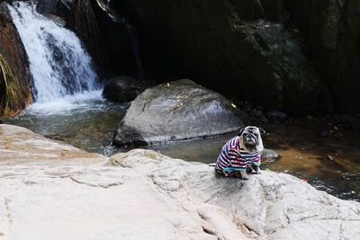 Scenic view of waterfall