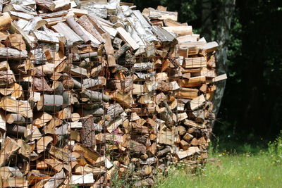 Close-up of stack of firewood