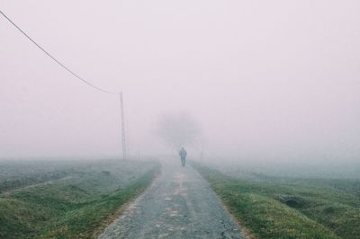 Road in foggy weather