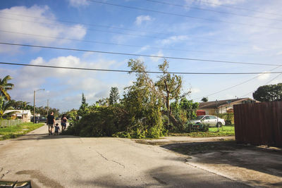 People walking on road by trees against sky