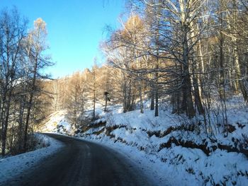 Road amidst trees against clear sky during winter