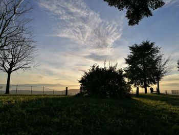 Trees against sky during sunset