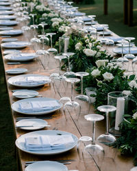 Potted plants on table