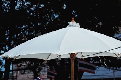 Rear view of woman with umbrella against trees