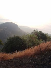 Scenic view of field against sky at sunset