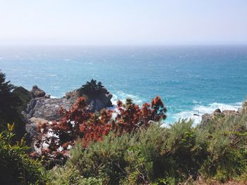 High angle view of trees by sea against clear sky