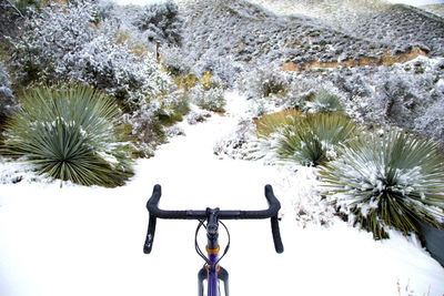 Bicycle on snowy mountain desert trail