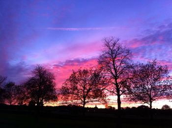 Silhouette of trees at sunset
