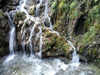Scenic view of waterfall in forest
