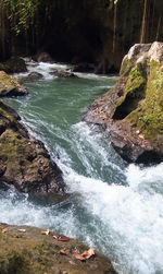 Scenic view of waterfall in forest