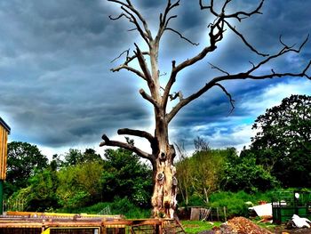 Bare trees against cloudy sky