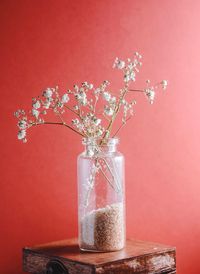 Close-up of red flower vase on table against wall