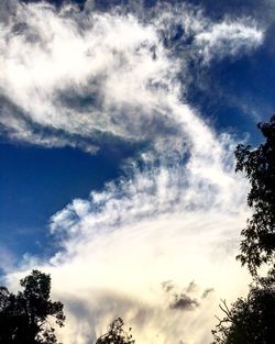 Low angle view of trees against cloudy sky