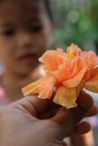 Close-up of hand holding flower