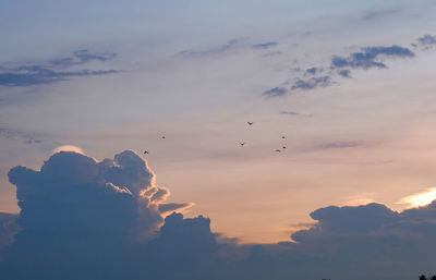 Low angle view of birds flying in sky