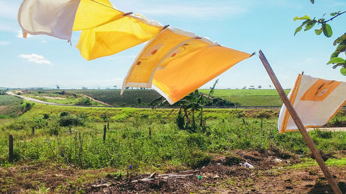 Clothes drying on field against sky