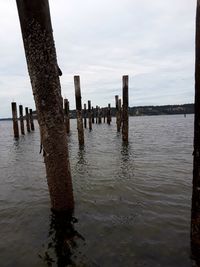 Wooden posts in sea against sky