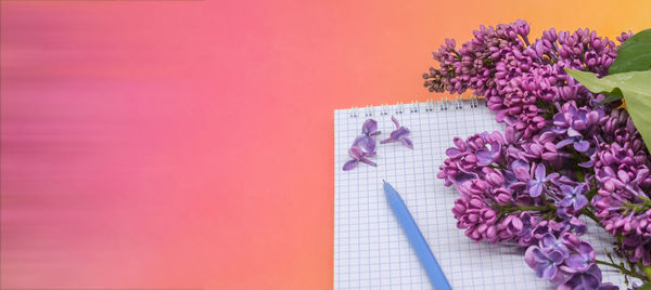 Close-up of pink flowering plant against red wall