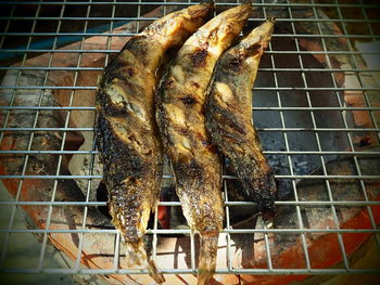 Close-up of food on metal grate