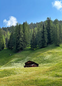 Scenic view of forest against sky