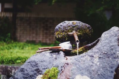 Close-up of rocks