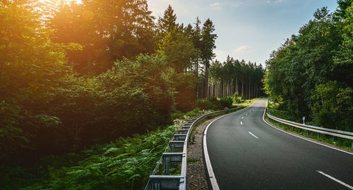 Road amidst trees against sky