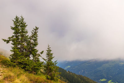 Scenic view of tree mountains against sky