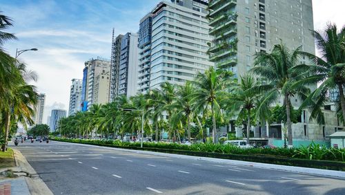 City street by palm trees against sky