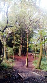 Trees on landscape against sky