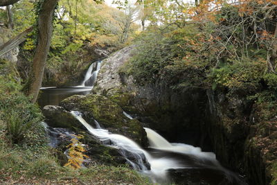 Scenic view of waterfall in forest