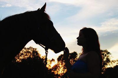 Silhouette of horse in front of horse