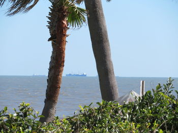 Scenic view of sea against clear sky