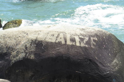 High angle view of rocks on beach