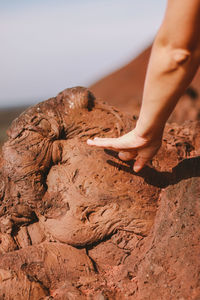 Cropped image of hand touching mud