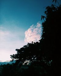 Low angle view of silhouette trees against sky at sunset