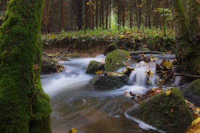 View of waterfall in forest