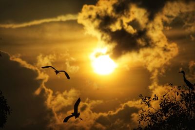 Silhouette birds flying in sky during sunset