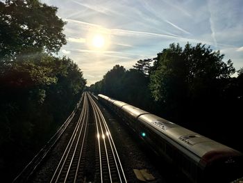 Railroad tracks amidst trees against sky